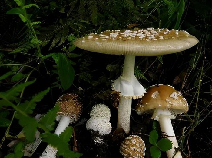 230704-06.jpg